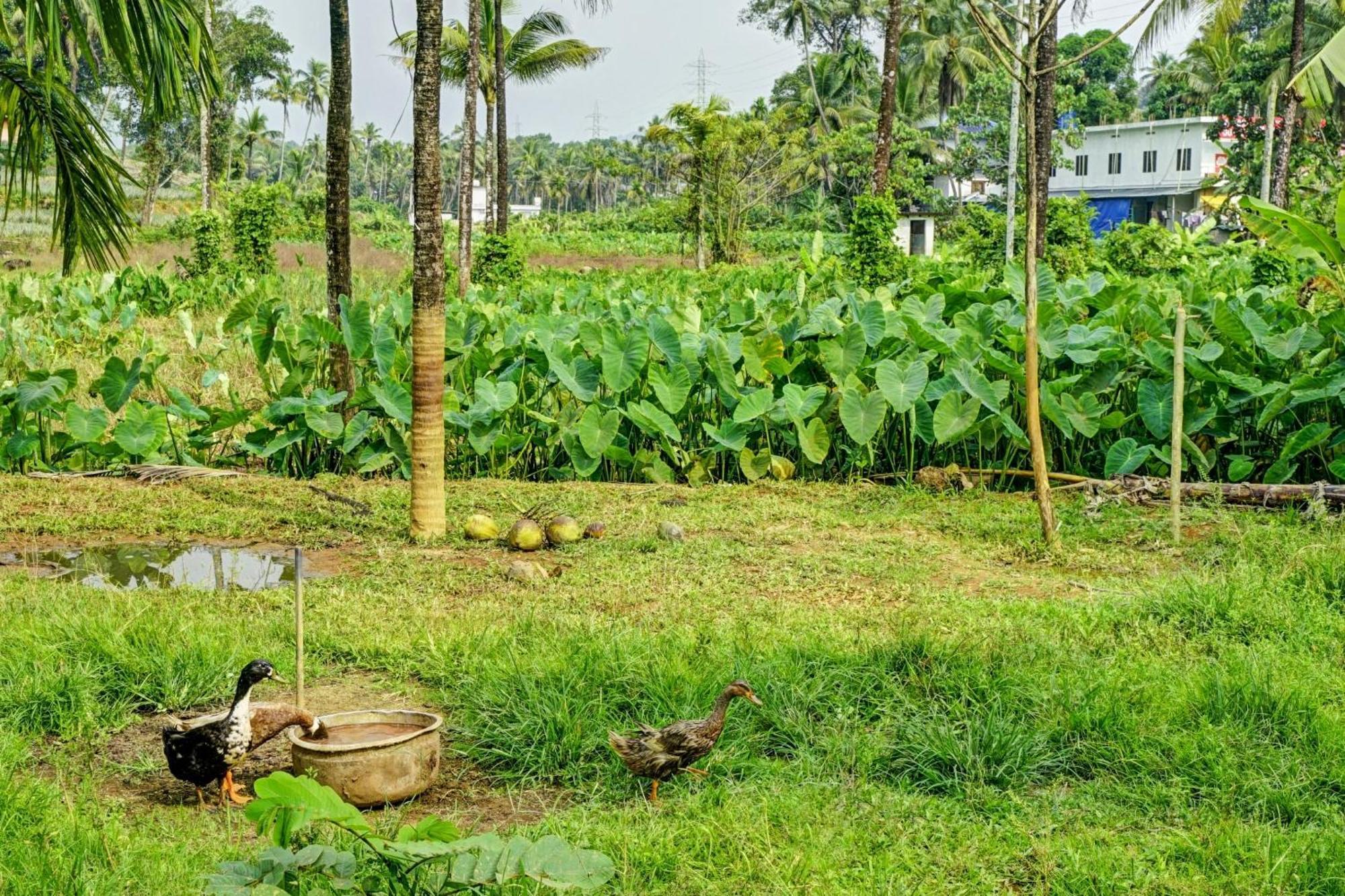 Spot On Shalom Palace Residency Neriyamangalam 외부 사진